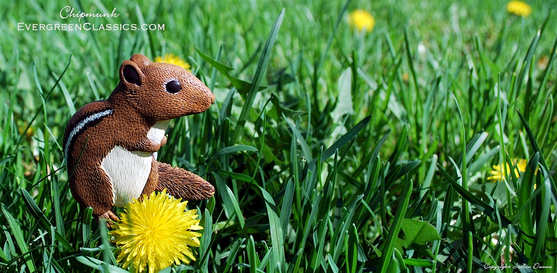 Chipmunk sitting on the lawn with dandelions.