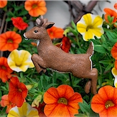 Whitetail Buck jumping in the orange and yellow Petunias.