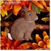 Hand painted Cottontail Rabbit sitting autumn decoration.