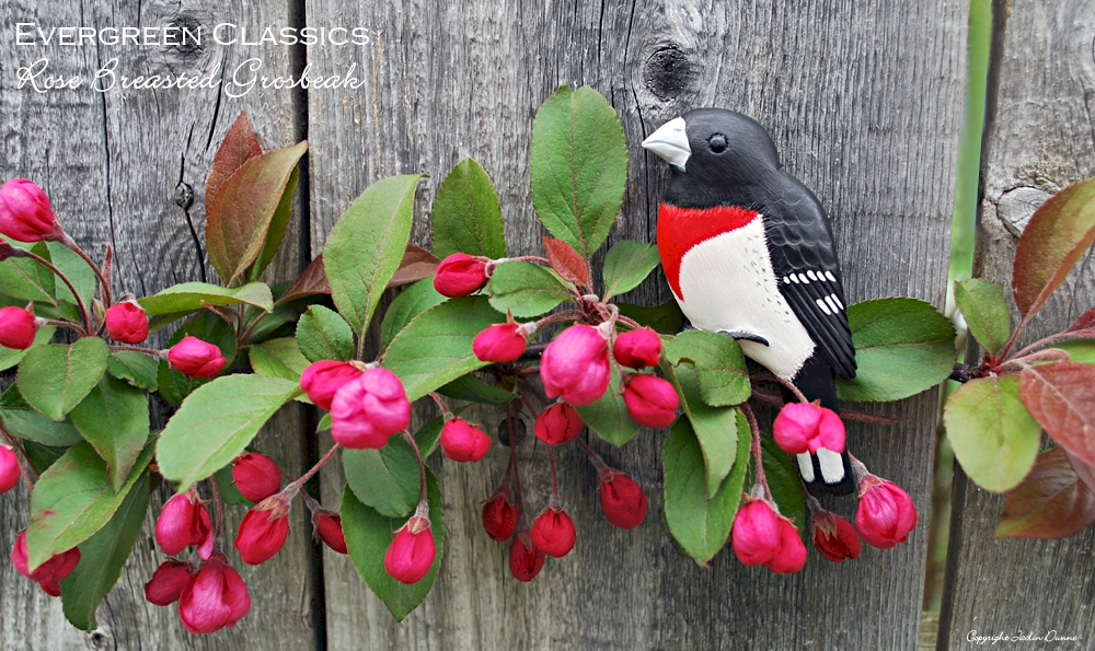 Rose-Breasted Grosbeak Christmas decoration on a crabapple branch in bloom.